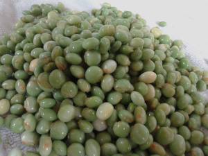 10859820_10202901122720432_262830979_n