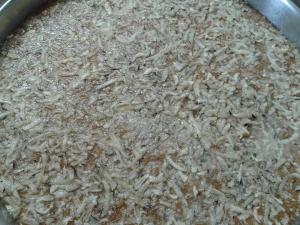 10527494_10202033320105909_1140344330934105907_n (1)